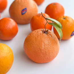 Апельсин пирожное силиконовая форма ручной работы