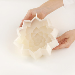 Succulent торт силиконовая форма ручной работы