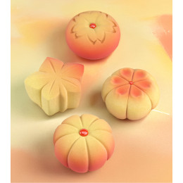 Wagashi cakes silicone mould