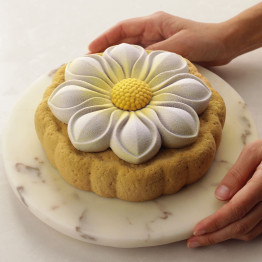 Biscuit base cake торт форма ручной работы