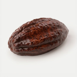 Cacao bean mini cake silicone mould handmade