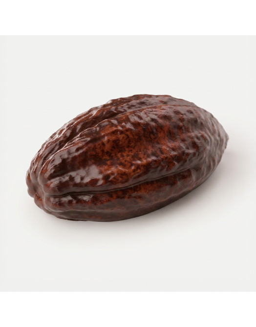 Cacao bean mini cake silicone mould handmade