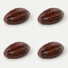 Cacao bean mini cake silicone mould handmade, Set of 4