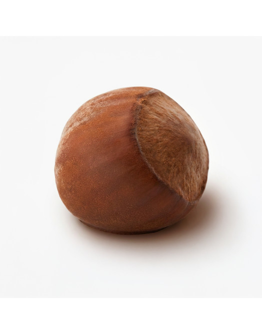 Hazelnut classic mini cake silicone mould handmade