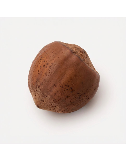 Hazelnut classic mini cake silicone mould handmade