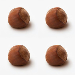 Hazelnut classic mini cake silicone mould handmade, Set of 4