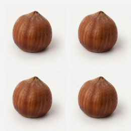Hazelnut mini cake silicone mould handmade, Set of 4