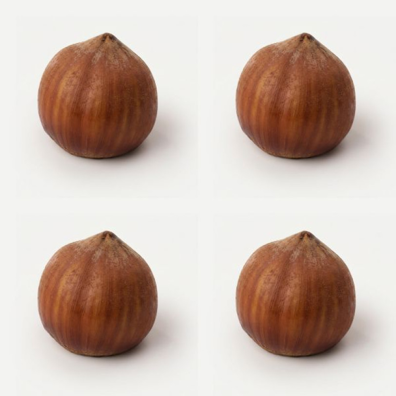 Hazelnut mini cake silicone mould handmade, Set of 4