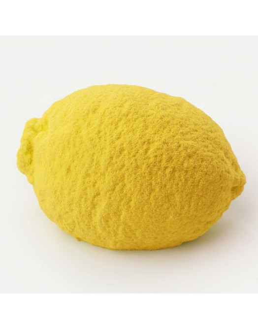 Lemon bento cake silicone mould handmade