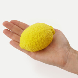 Lemon mini cake silicone mould handmade