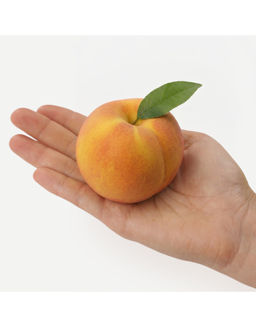 Peach mini cake silicone mould handmade