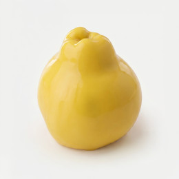 Quince mini cake silicone mould handmade
