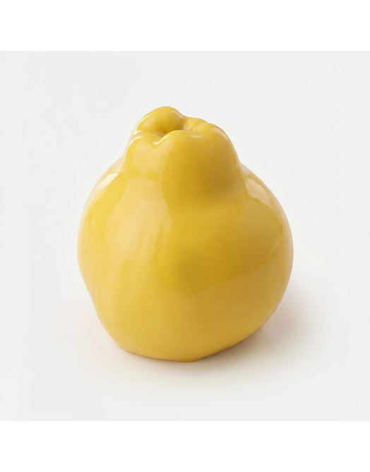 Quince mini cake silicone mould handmade