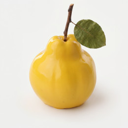 Quince mini cake silicone mould handmade