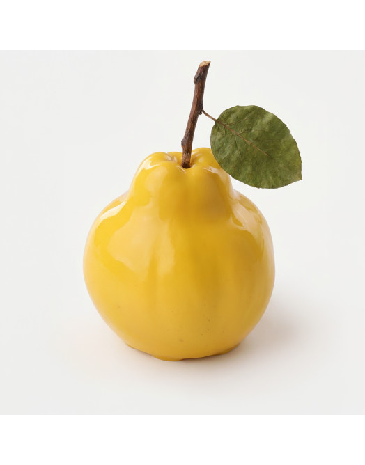 Quince mini cake silicone mould handmade