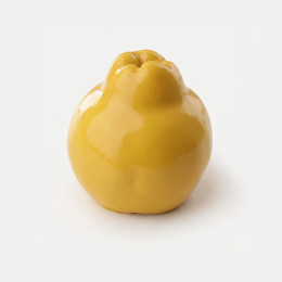 Quince mini cake silicone mould handmade