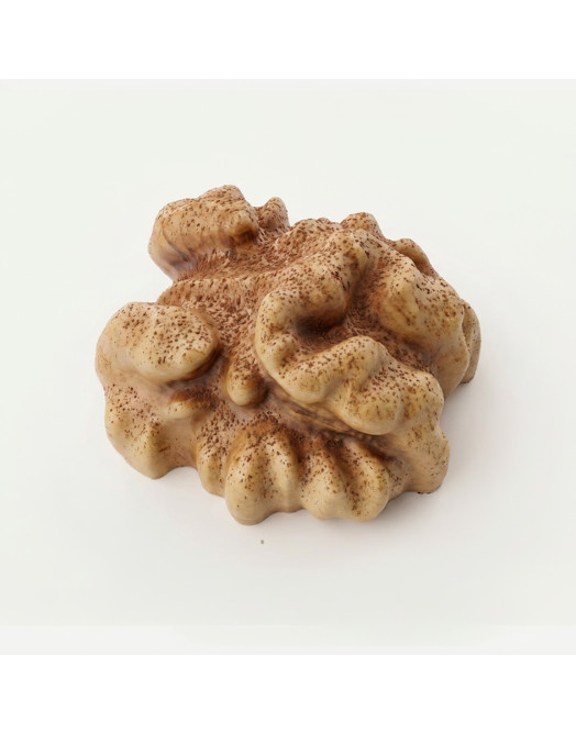 Walnut mini cake silicone mould handmade