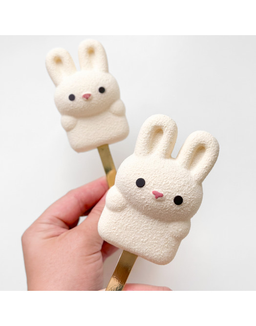 Bunny Lollipop cake silicone mould handmade