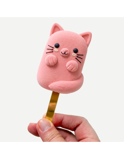 Cat Lollipop cake silicone mould handmade
