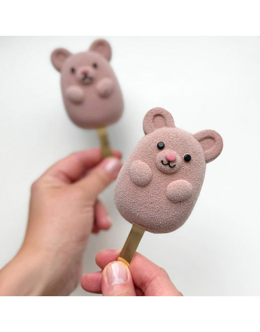 Teddy Lollipop cake silicone mould handmade