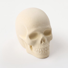 Spooky Skull Bento cake silicone mould handmade
