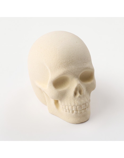 Spooky Skull Bento cake silicone mould handmade