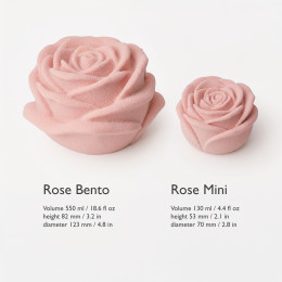 Sweetrose bento cake silicone mould handmade