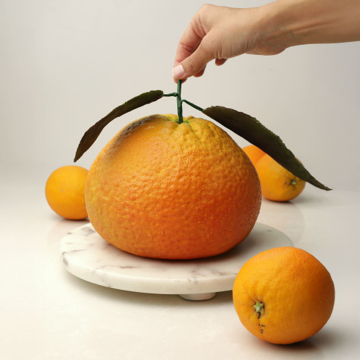 XXL Orange molde de silicona para tartas hecho a mano