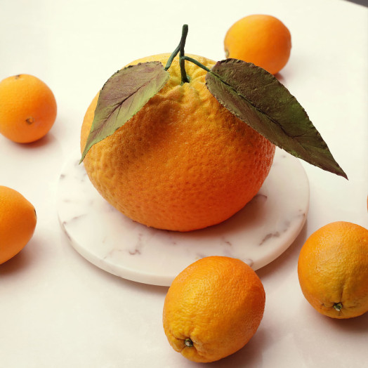 XXL Orange molde de silicona para tartas hecho a mano