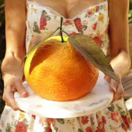 XXL Orange molde de silicona para tartas hecho a mano