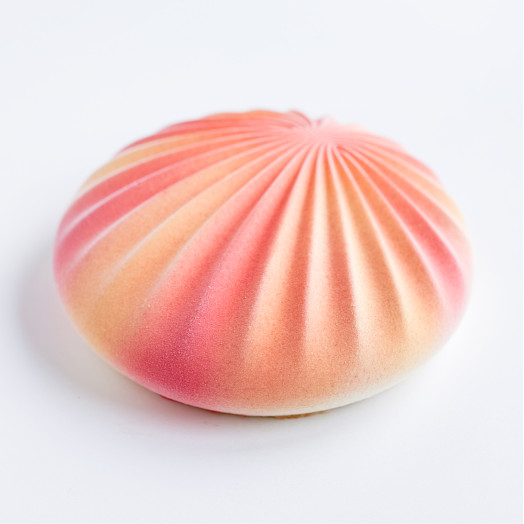 Shell cake silicone mould handmade 