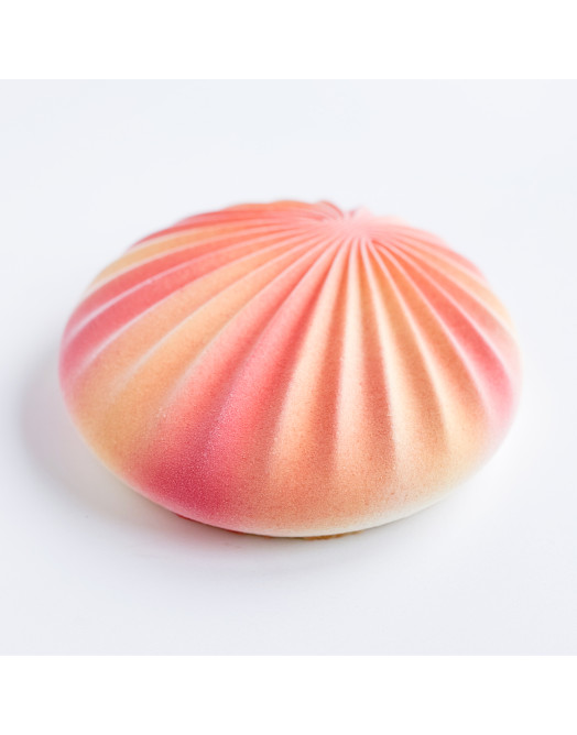 Shell cake en silicone réalise à la main